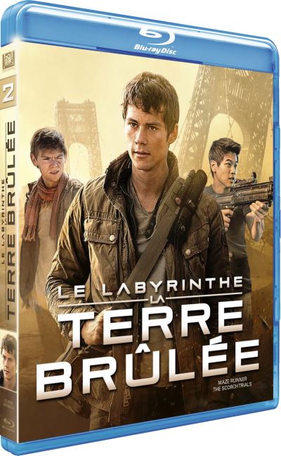 Le-Labyrinthe-La-terre-brulee-Blu-ray.jpg