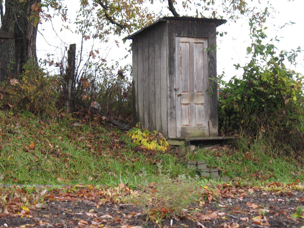 cabane-au-fond-du-jardin.jpg