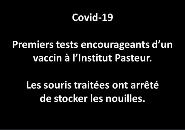 humour_covid-19_souris.png