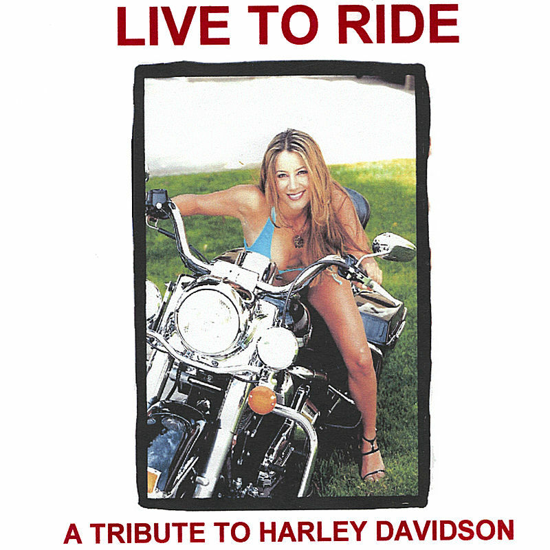 Steve Rubin - Live To Ride A Tribute to Harley Davidson (2003).jpg
