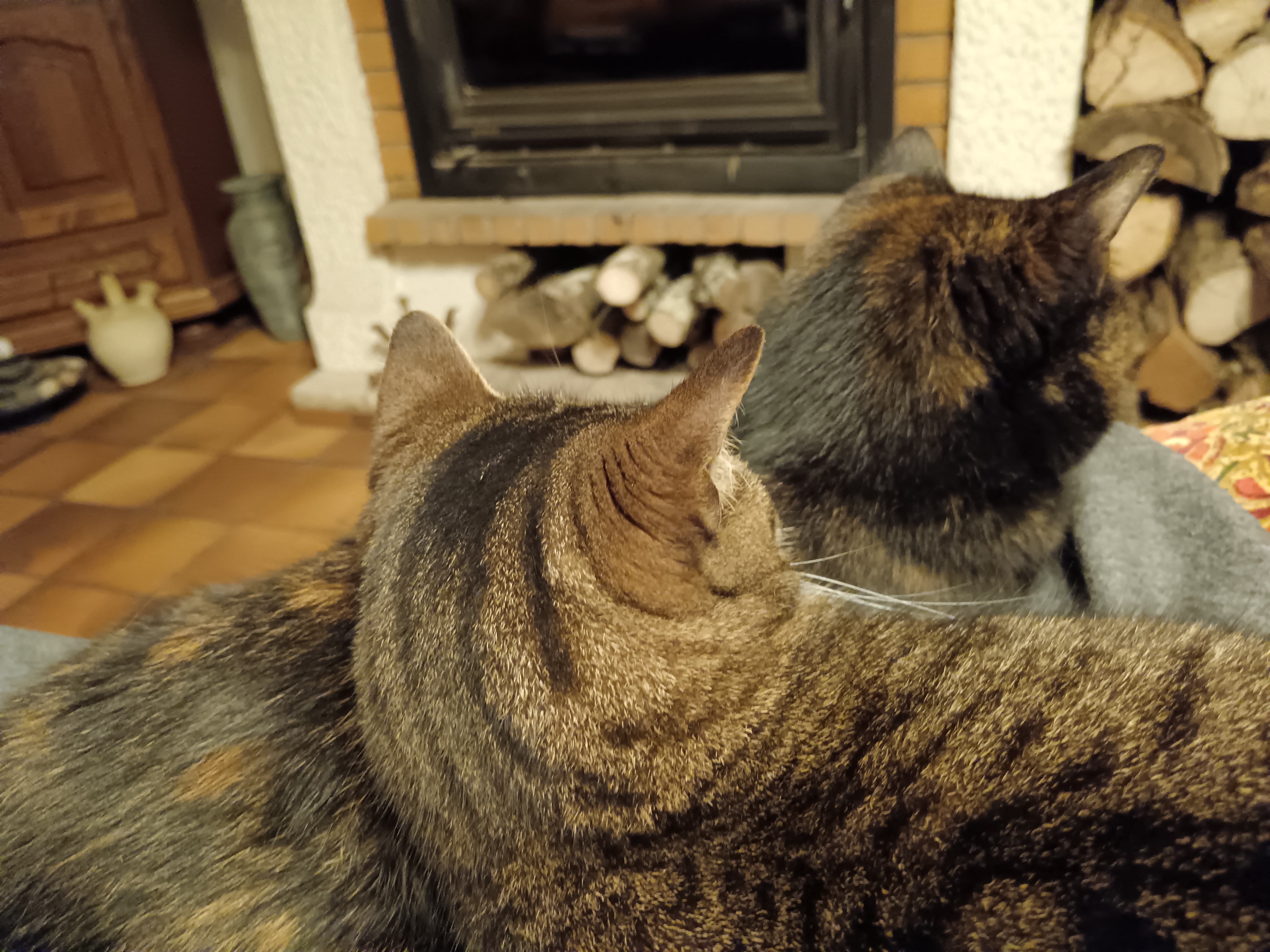 IMG_20250224_201356.jpg
