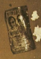 w.jpg