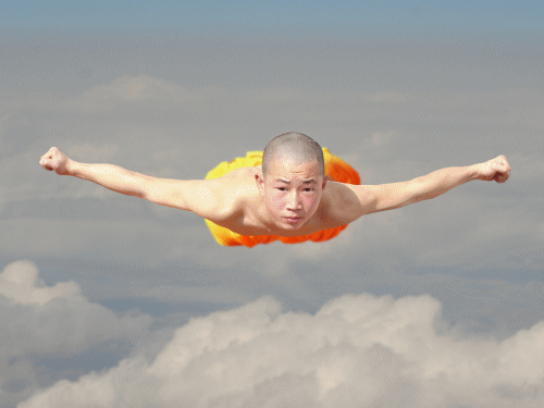 fly.gif