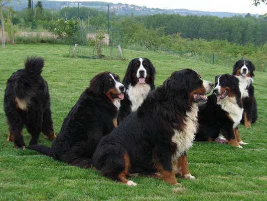 groupe8.jpg
